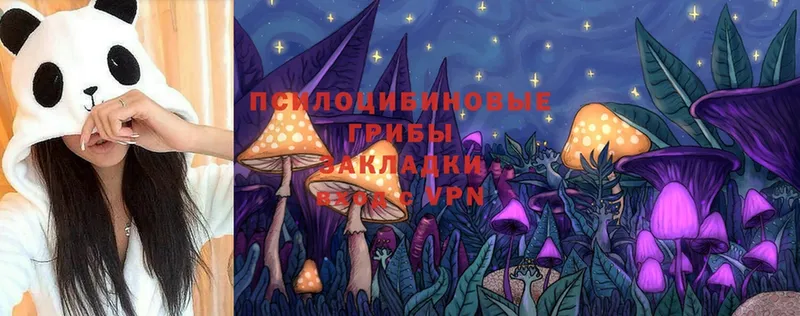 Галлюциногенные грибы MAGIC MUSHROOMS  Курильск 